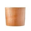 Borralheira 140 x 130mm Terracotta Cylinder Indoor Ceramic Pot - 140mm