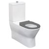 Fienza Delta Care Back to Wall Toilet Suite - S Trap