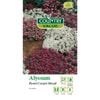 Country Value Seed Alyssum Pastel Carpet Mixed