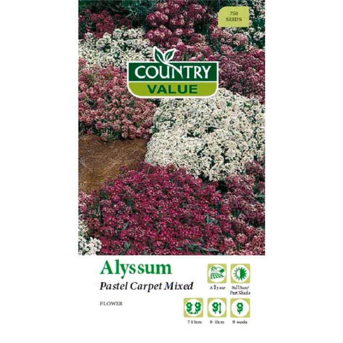 Country Value Seed Alyssum Pastel Carpet Mixed