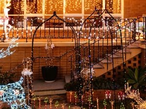 A garden decorated with plant trainers wrapped in solar fairy lights.   