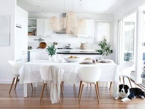 DIY Advice Image - Shades of white and how to choose white paint . Elvis and Personal SharePoints blob storage upload.