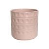 Astin Sinclair 155 x 165mm Peach Blush Dots Ceramic Pot