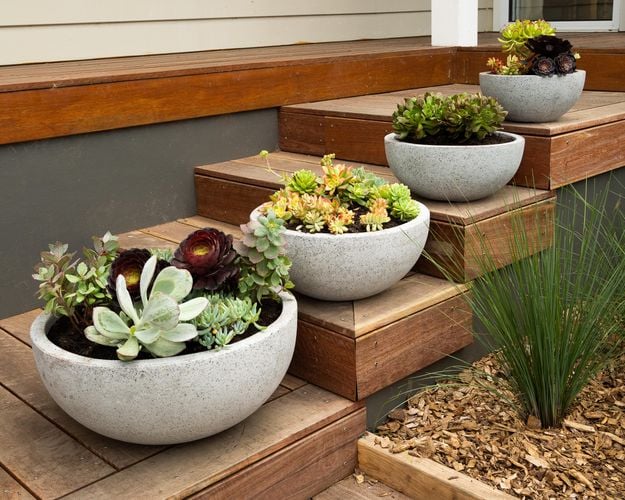 Four grey bowl planters sitting on steps filled with plants.
