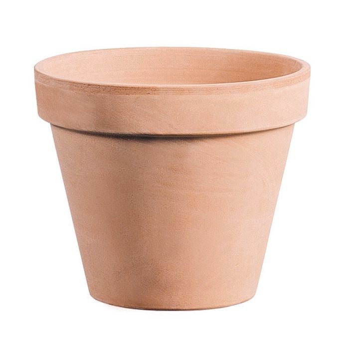 Northcote Pottery 23cm Terracotta Italian Antique Pot