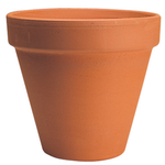 Northcote Pottery 23cm Standard Terracotta Italian Pot