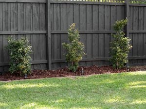 garden bed with fresh mulch and plants, timber fence in back ground