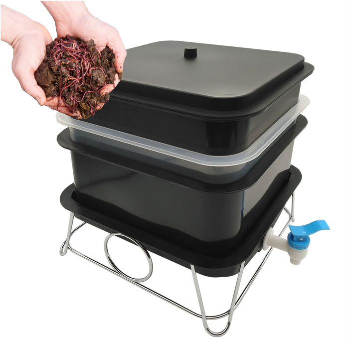 Maze Mini 3 Tier Worm Farm with 500 Worms