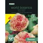 Johnsons World Botanics Poppy Paeony Flemish Antique
