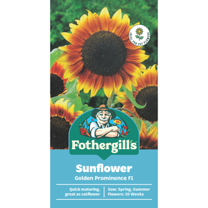 Fothergill's Sunflower Golden Prominence Flower Seeds