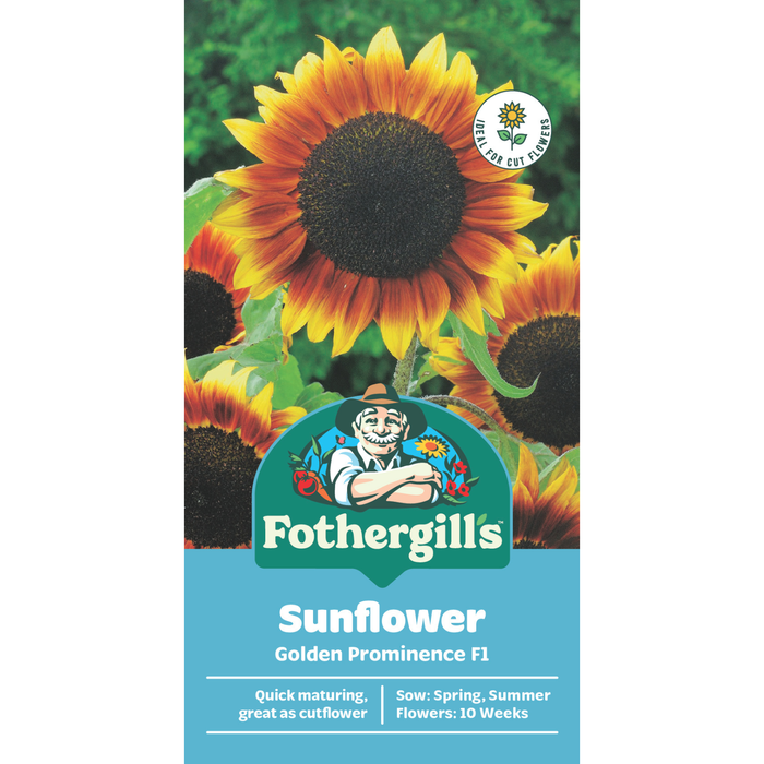 Fothergill's Sunflower Golden Prominence Flower Seeds