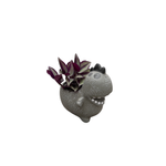 60mm Indoor Foliage In Ceramic Enchanted Creature