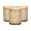 Nicola Spring Scented Candles 130g - Green Pomelo & Passion Fruit - Pack Of 3 Fruity Fresh Scent Jarred Long Burn Fragrance Set