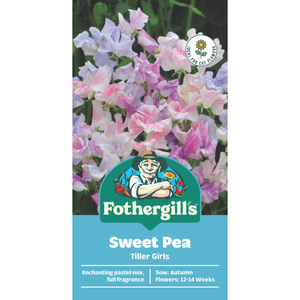 Fothergill's Sweet Pea Tiller Girls Seeds