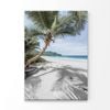 Coconut Trees with Shadows Beach  Print 100% Australian Made 100 x 150cm  (Acrylic)