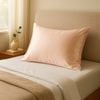 Royal Comfort Pure Silk Pillowcase 100% Mulberry Hypoallergenic Champagne Pink Standard