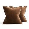 Catzon 2 Pcs Decorative Velvet Throw Pillow Covers Soild for Home Car 50X50cm-Dark Coffee