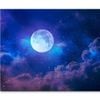 Full Moon in The Night Sky View  Print 100% Australian Made 90 x 60cm  (Stretched)