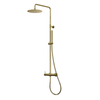 Alfresco Water Brushed Brass Outdoor/Indoor Rail Shower Set 316 Stainless Steel
