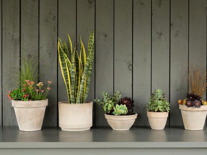 A row on greige coloured terracotta pots in different shapes.