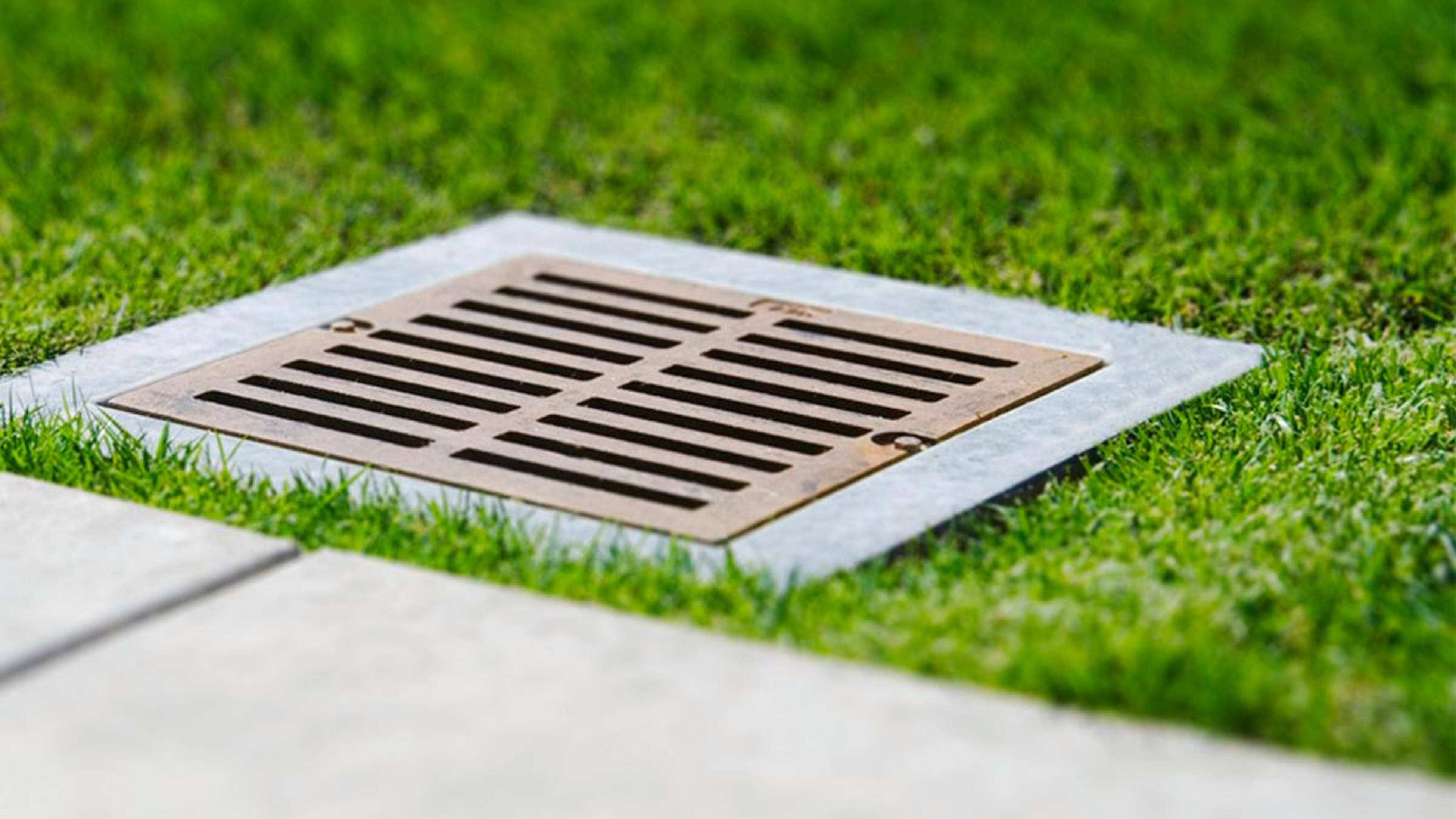 A metal drain grate set in a concrete surround embedded in a green lawn