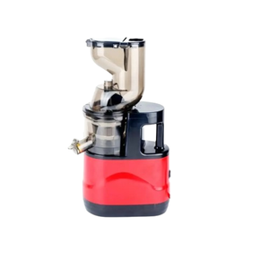 Fruits and Vegetables Slow Juicer