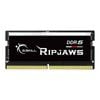G.Skill Ripjaws 16GB (1x16GB) DDR5-5600 SODIMM Memory [F5-5600S4040A16GX1-RS]