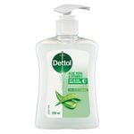 Dettol 250mL Aloe Vera And Vitamin E Antibacterial Hand Wash