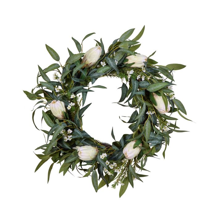 Rogue Protea Eucalytpus Wreath - Cream/Green 76x24x76cm