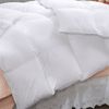 Renee Taylor 400 GSM Queen All Seasons Natural Bamboo Bedding Quilt White