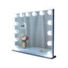 Hollywood Makeup Vanity Mirror with LED Lights and Detachable 10X Magnification Mirror (White, 62 x 51 cm)