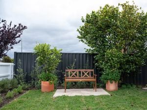 A garden with a wooden bench.