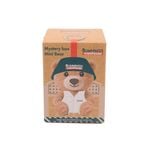 Bunnings Mystery Box Mini Bears V2