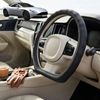 Australian Goose Steering Wheel Cover for Aston Martin DB11 2016 - Current (V8) D-shape Black