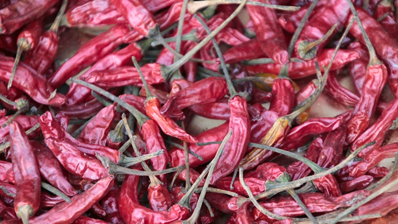 Dried red birds eye chillies.