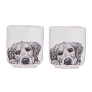 Ashdene Peeking Pups Golden Retriever Set Of 2 Egg Cups