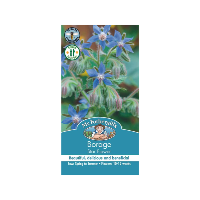 Mr Fothergill's Borage Herbs Seeds