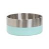 Baxter Bone Medium Mint Stainless Steel Double Walled Pet Bowl