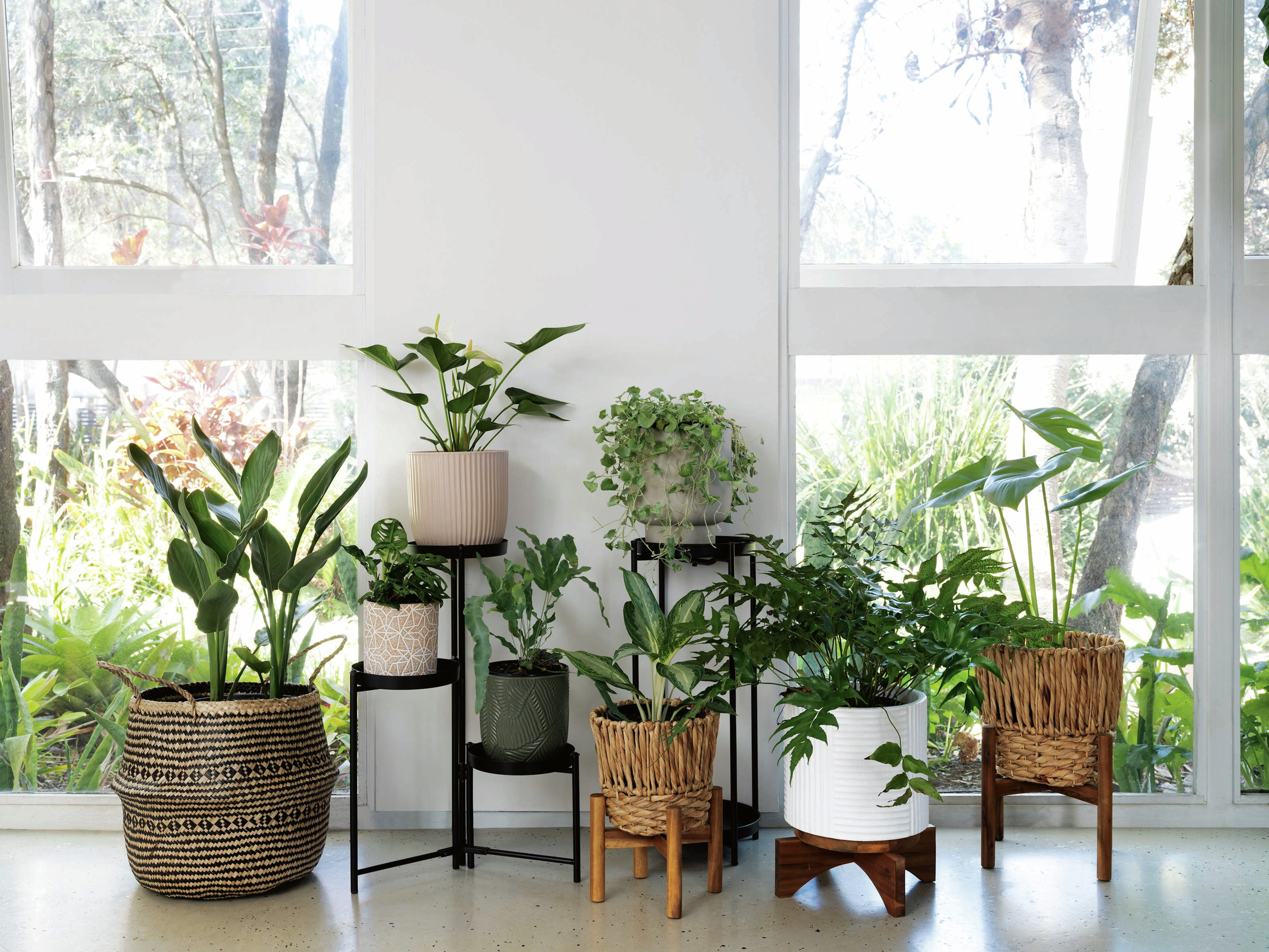 self-watering indoor plant pots Lumo Carry Self-Watering Planter with Handle main image 1