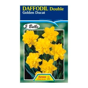 Daffodil Golden Ducat - 5 Bulbs