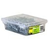 OTTER 2kg 50mm Galvanised Barbed Staples Tub