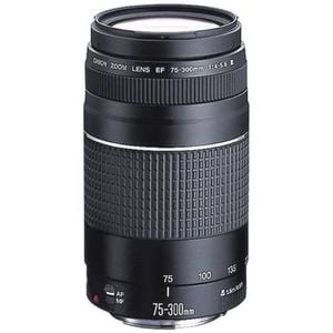 Canon EF 75-300mm f4-5.6 Telephoto Lens