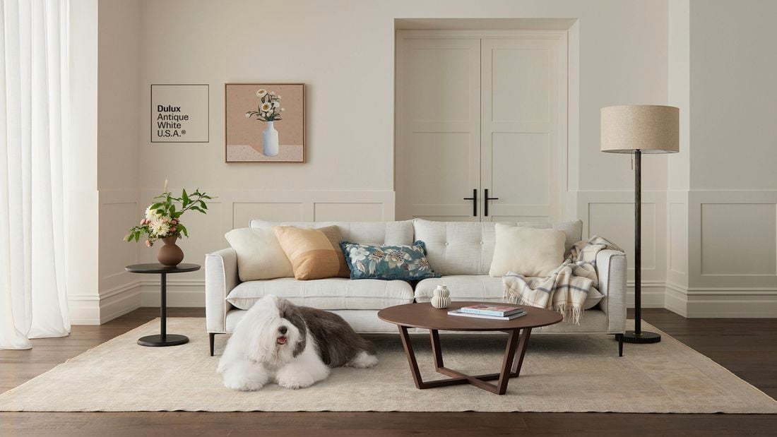 Living room painted in Dulux white paint with a light sofa, round coffee table, floor lamp, framed art, and a shaggy dog on a beige rug.