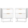 Alfordson Set Of 2 Bedside Table Nightstand 2 Drawers Side Storage Cabinet White