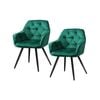 Artiss Dining Chairs Green x2