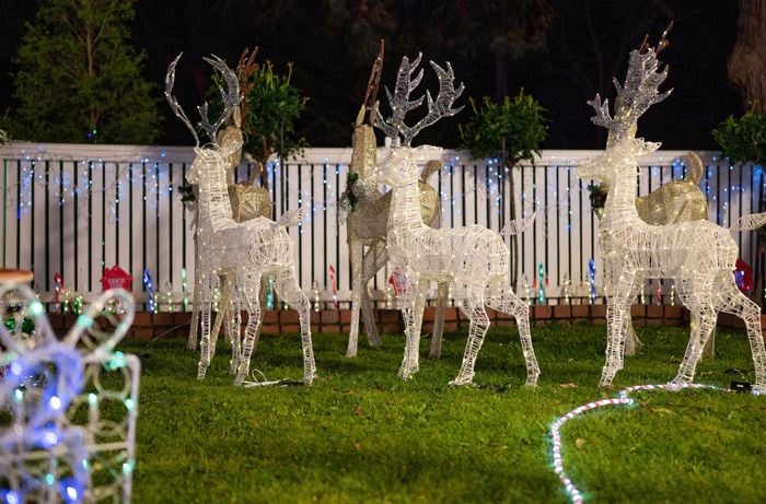 light reindeers in a front yard