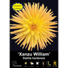 Yarra Valley Bulbs Xanzu William - 1 Pack