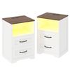 Advwin 2x Farmhouse Bedside Table with 2 Drawers, Charging Station, LED Light Nightstand Side Table, Brown+White