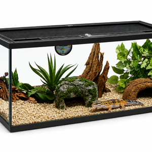 Deluxe Reptile Terrarium 50cm X 30cm X 30cm