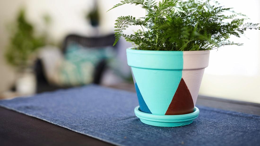 Close-up of small fern plant in a multi-coloured pot sitting on a table